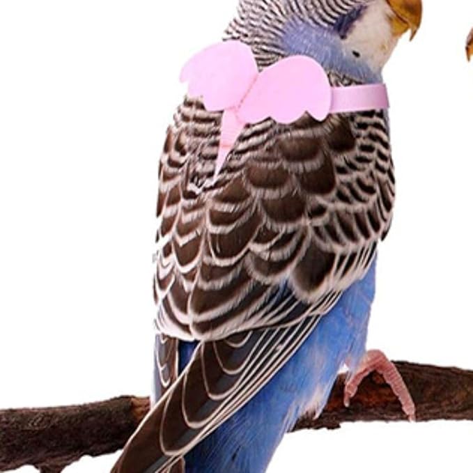 Pet Parrot Bird Harness and Leash, Adjustable Training Design Anti-Bite, Bird Nylon Rope with Cute Wing for Parrots, Suitable for Macaw Cockatoo Cockatiel Lovebird Conure African Grey (Green,XS)