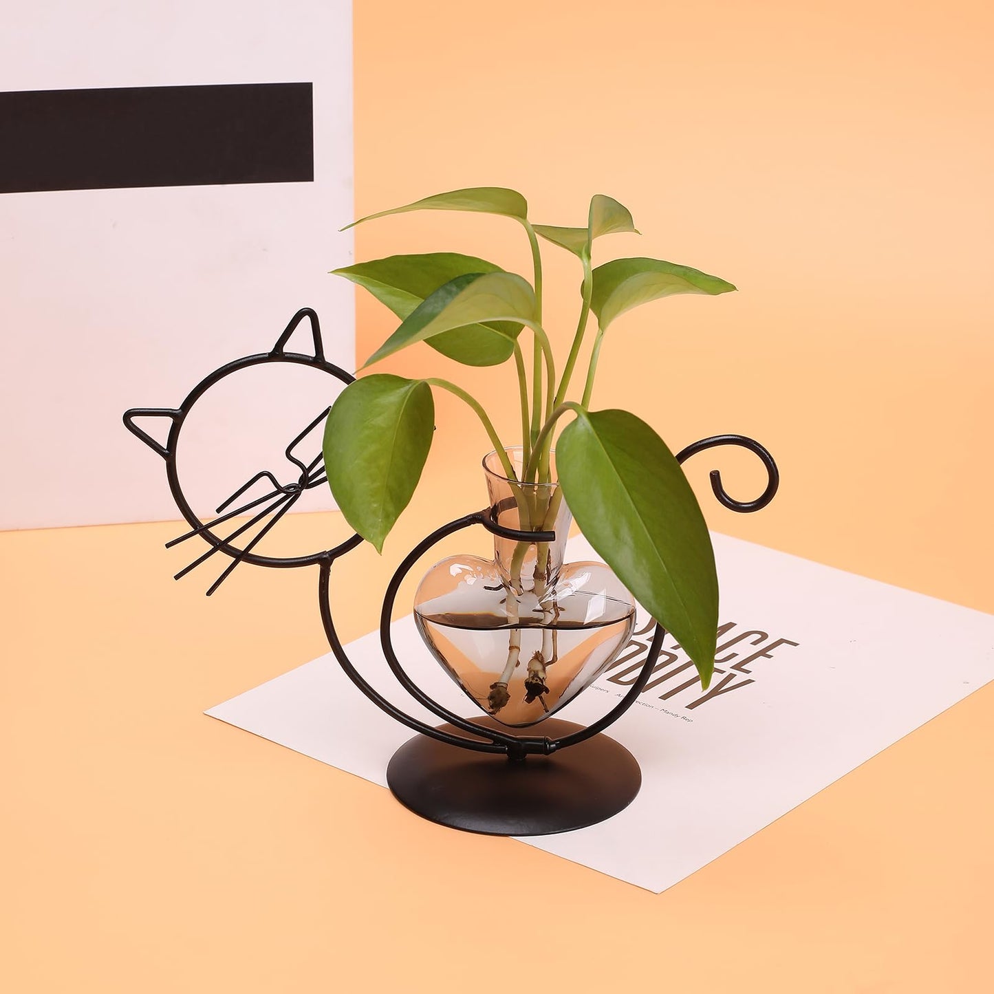 Plant Terrarium Plants Propagation Station Cat Lover Gifts for Women Home Office Decor Cat Desk Accessories