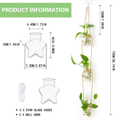 XXXFLOWER Wall Hanging Propagation Station，3 Tiers Star Shaped Glass Flower Vase for Hydroponic Planter Terrarium for Plant Cutting Home Office Living Room Garden Decor