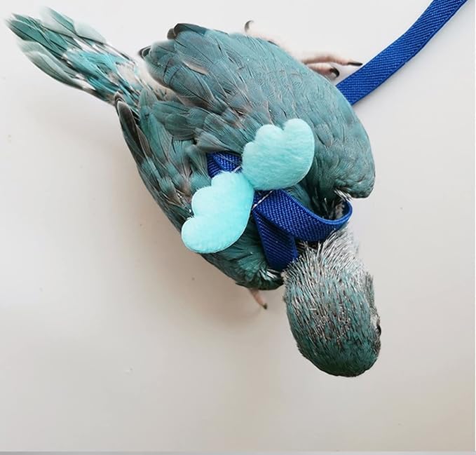 Pet Parrot Bird Harness Leash Adjustable Bird Flying Harness Traction Rope with Cute for Parrots Budgerigar Lovebird Cockatiel Mynah Outdoor Training Toy (Mynah,Blue)