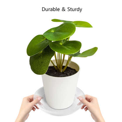 FUTED 6 Pack Clear Plant Saucer 6 8 10 inch, Durable Plastic Plant Trays for Indoor, Round Flower Plant Pot Saucer, Sturdy Plant Water Catcher Tray