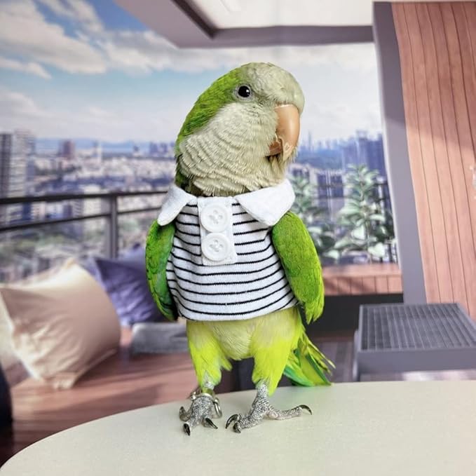 Amazon Bird Diaper Flight Suit - Summer Clothes Cosplay Photo Prop for Parrots, Lovebirds, Parakeets & Cockatiels (with Diaper)