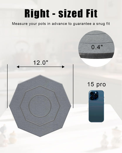 Diatomaceous Earth Plant Saucer Instant Dry, 2 Pack 12 inch Super Absorbent Plant Trays for Pots, Plant Water Catcher Tray, Plant Drip & Drainage Tray for Indoor, Gray