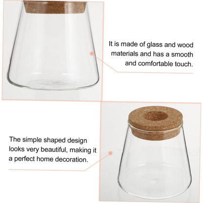 UTHCLO 2Pcs Clear Glass Desktop Vases for Hydroponics Plants Smooth Terrarium Planter Jars for Office Home Garden Decoration