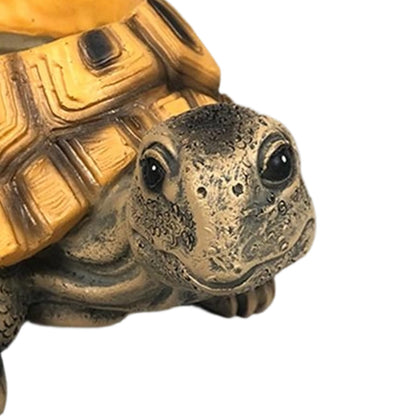 Turtle Planter Pot | Cute Succulents Pot with Drainage Holes | Small Planter,for Indoor Cactus Living Room Study Room Balcony Desk Shelf Windowsill Home Office Women Gardening Enthusiasts