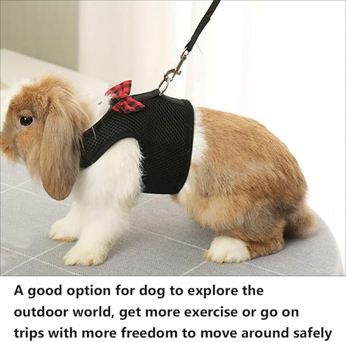 ERINGOGO Small Pet Harness Vest with Breathable Mesh, Adjustable Chest Strap 30-34Cm, No Pull Pet Harness for Rabbits, Guinea Pigs, Squirrels – Dark Color M Size, Comfortable Vest Type