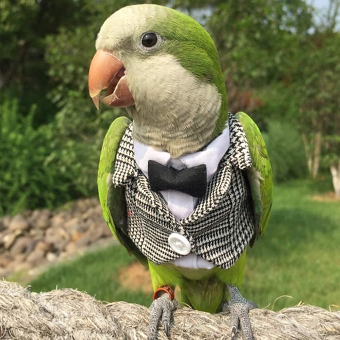 Bird Clothes Birds Flight Suit,Tuxedo Business Suit for Parrots African Greys Parakeet Cockatiel Sun Conure Christmas Party Birthday Cosplay Photo Prop Small Animals Apparel (3XL,Grid Suit)