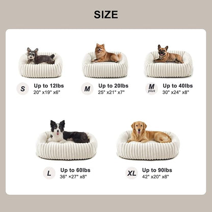 FURTIME Dog Bed for Small Medium Dog, Washable Orthopedic Pet Bed with Removable Cover, Rectangle Soft Calming Sleeping Puppy Bed Durable Pet Cuddler with Anti-Slip Bottom, Cream, M (25"x21"x7")