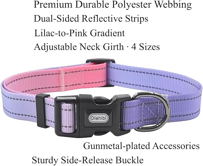 Dog Collar Leash Set, Gradient Color, with Safety Reflective Strips, 5 ft Matching Leash, Neoprene Padded Handle, Adjustable 4 Sizes for Small Medium Large Dogs.(XS, Lilac Pink)