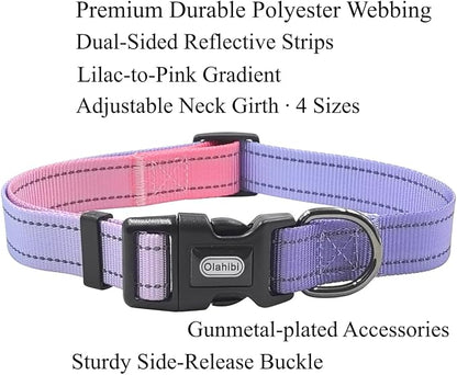 Dog Collar Leash Set, Gradient Color, with Safety Reflective Strips, 5 ft Matching Leash, Neoprene Padded Handle, Adjustable 4 Sizes for Small Medium Large Dogs.(L, Lilac Pink)