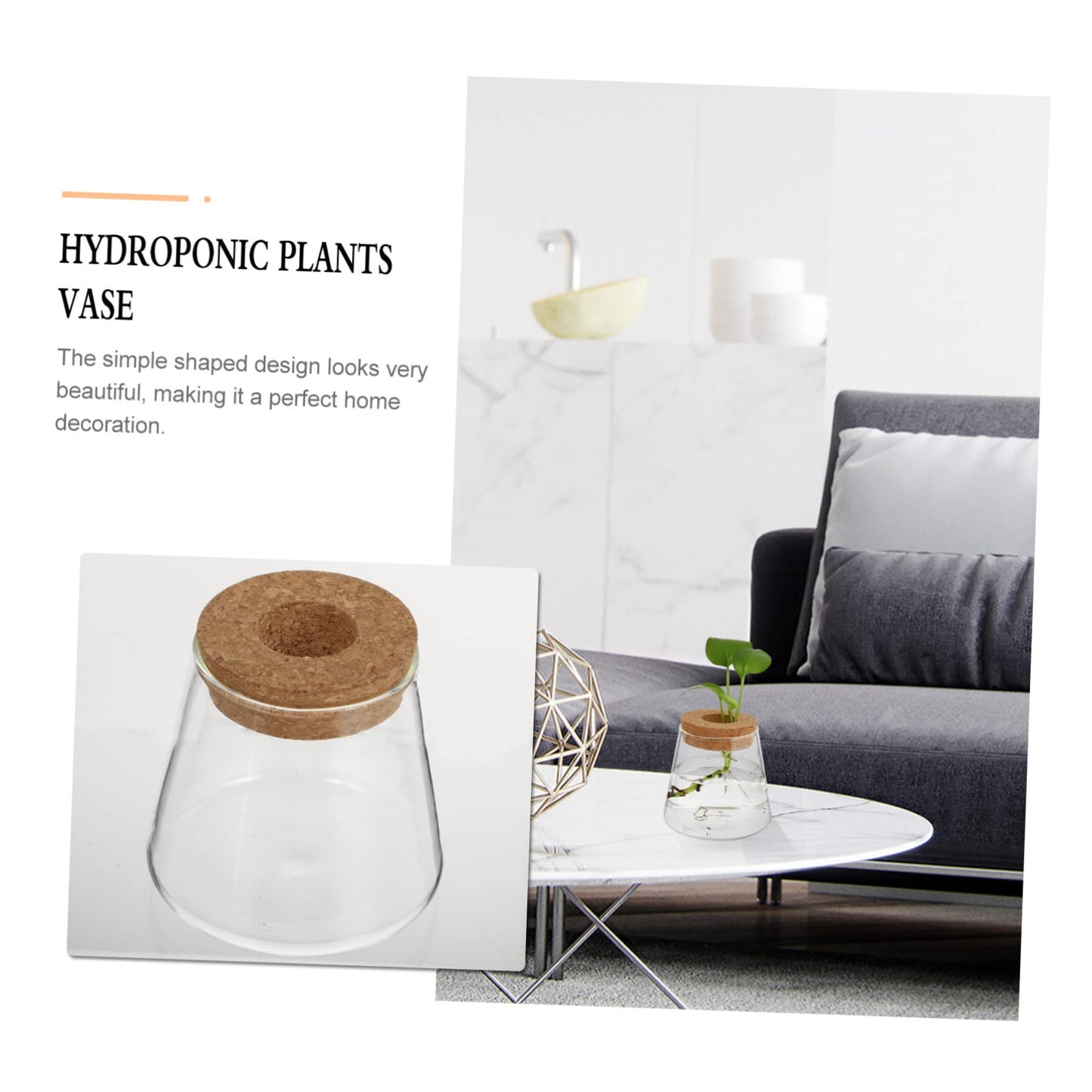 Zerodeko 2Pcs Hydroponic Plant Glass Vases Desktop Terrarium Clear Propagation Containers for Indoor Plants Home Decoration Garden Lovers