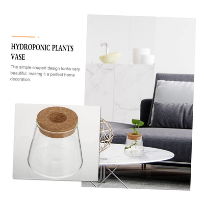 MAGICLULU 2Pcs Glass Terrarium for Hydroponics Plants Desktop Vases with Smooth Glass Craftsmanship Stylish Plant Propagation Jars for Home Office Decoration