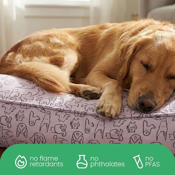 Molly Mutt Only You Dog Bed Duvet Cover, 100% Cotton Canvas Cover for Dog, Puppy, or Cat Bed, Durable, Washable, and Free of Harmful Chemicals, Medium/Large, 27"x36"x5"