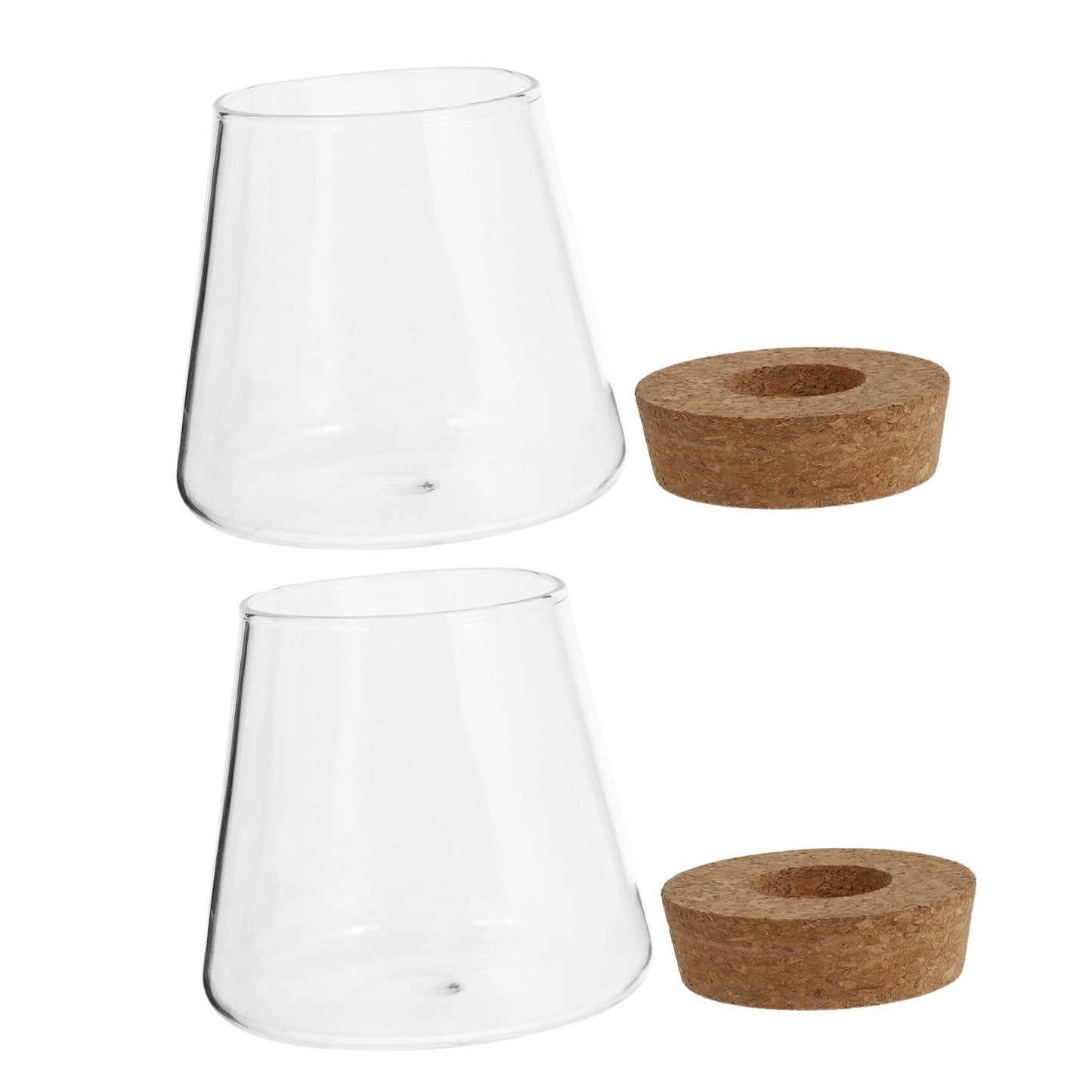 PRETYZOOM 2Pcs Glass Hydroponic Plant Vases for Desktop Home Decoration Clear Smooth Glass Terrarium for Floral Arrangement Office Plant Propagation Jar Unique Design