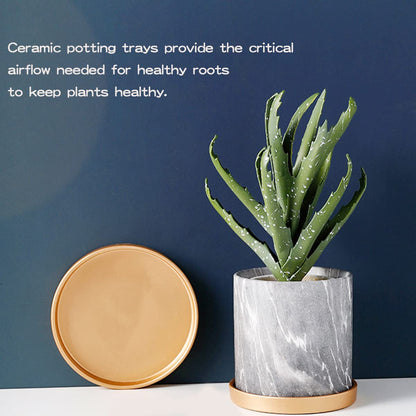 LCJAOF 2PCS Round Ceramic Plant Saucer-7 Inch Flower Pot Drip Tray, Perfect for Various Flowers, Enhancing Home Aesthetics（Gold）