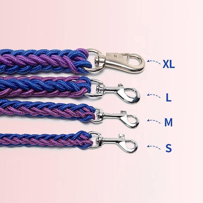 Love Dream Dog Collar and Leash Set, Heavy Duty Nylon Braided Rope Strong 4 FT Dog Leash and Martingale Training Collar for Small Medium Large Dogs Training and Walking (Pink)