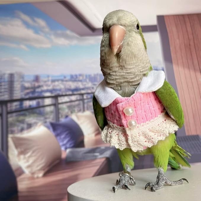 Bird Diaper Flight Suit - Pink Top Cosplay Photo Prop for Parrots, Lovebirds, Parakeets & Cockatiels (Lovebird Size)