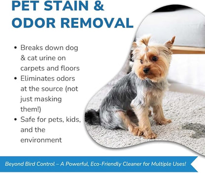 Bird Barrier Dissolve-It Max Enzyme Cleaner - Mix with Water – Bird Dropping Cleaner - Dissolves Waste – Treat Affected Areas Before Installing Bird Control Products - Bird Cage Cleaner - 1 Quart