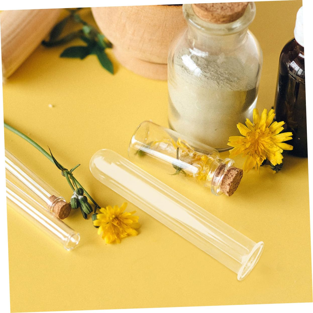 SEWOART 5pcs Hydroponic Test Tube Vase for Terrarium Flower Arrangements Glass Tube Vases for Indoor Plants