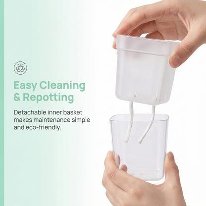 10 Pack 2" Mini Self Watering Pots for Indoor Plants, Small Self Watering Nursery Pots with Drainage Holes, Clear Plastic Plant Pots for Succulents, Cuttings, Herbs (Incl. 50x50cm Gardening Mat)