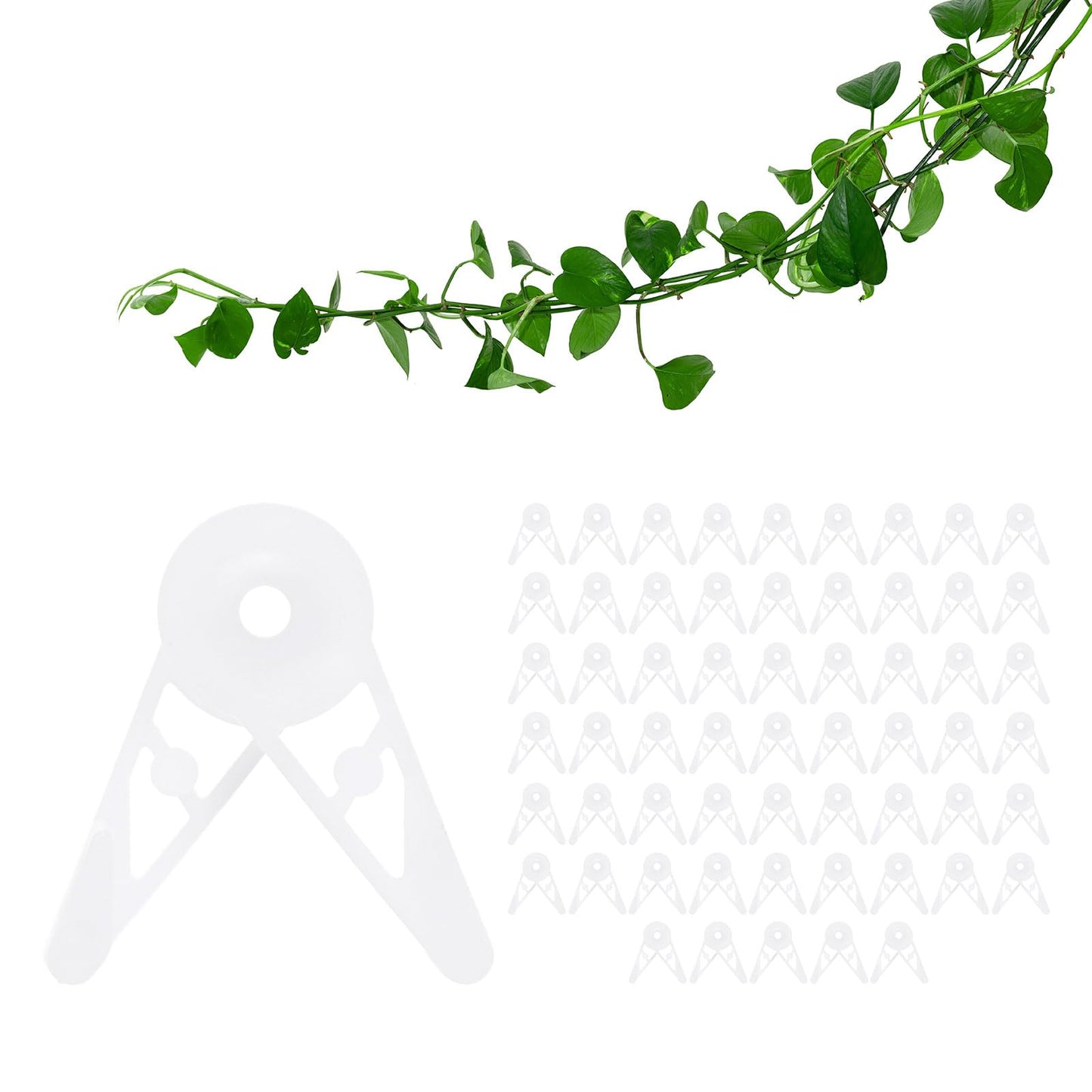 M METERXITY 60-Pack Adjustable Plant Clips, 360 Degree Plant Training Clips, Plant Stem Bender Training Clips for Low Stress Training/Plant Ties/Gardening Accessories [White]