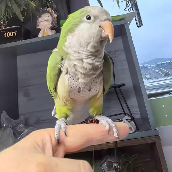 Premium Genuine Cowhide Bird Flight Harness Anti Bite Breathable Parrot Diaper Parrot Suit with Leash for Parakeet Conure Quaker Flying Clothes Rope and Handle (with Leash,Sulphur-Crested Cockatoo)