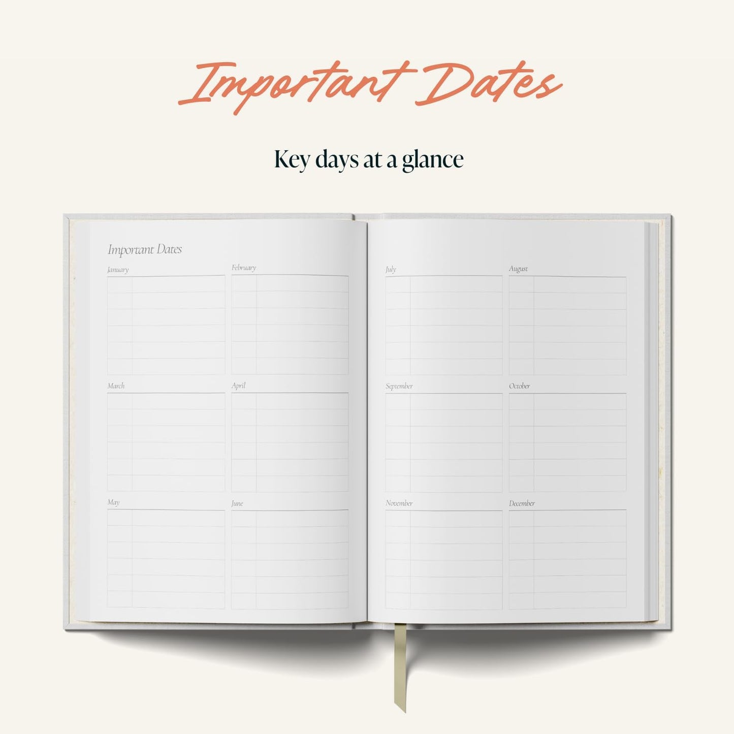 Yop & Tom Undated Daily Planner - Productivity Planner with Flower Vase Illustration - Weekly and Daily Organizer with Time Slots