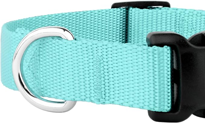 Country Brook Petz - Everyday Nylon Dog Collar and Leash - 10+ Cool Colors (3/4 Inch, Medium, Light Cyan)