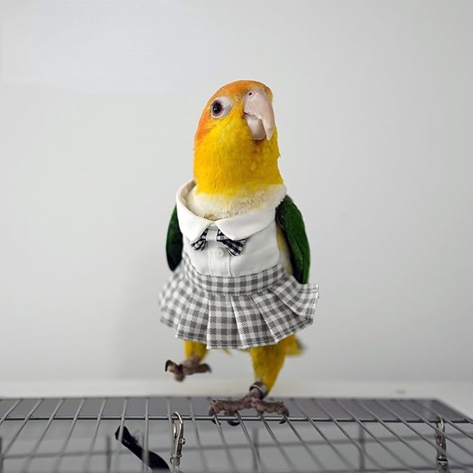 Bird Costume Bird Diaper Flight Suit Cute JK Dress Dress Skirt Clothes Cosplay Photo Prop for Parrots Macaw Cockatoo (Without Diaper,M)