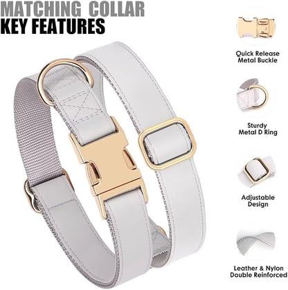 PET ARTIST Soft PU Leather Dog Collar and Leash Set, Bright & Stylish 5FT PU Leather Leash and Collar Set, Durable Pet Collars with Quick Release Metal Buckle for Large Dogs,Gray,L(16-27")