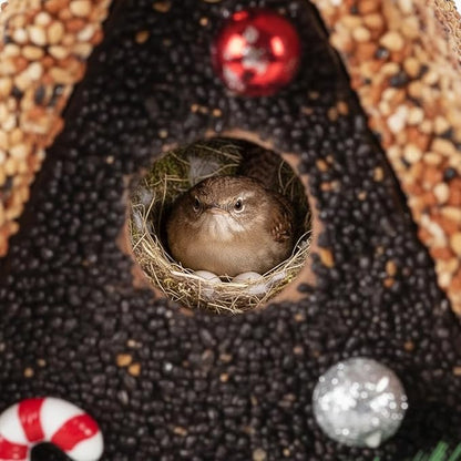 Seeded Birdhouse, Birdseeded Bird House, Wood Wren Bird Houses Covered with Wild Birdfood,Bird Feeders for Outside Hanging, A Frame Birdhouse