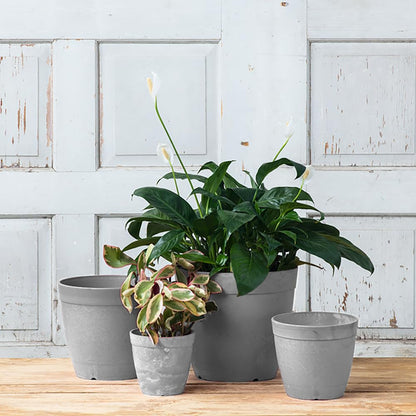 Root & Vessel Dolce Round Planter, Gray, 8"