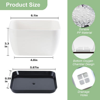 Oliz Succulent Pots 6 Inch Shallow Herb Planters with Drainage Hole - 4 Packs Cactus Planter for Home Office Garden Plants Pot Present - Plants Not Included (Off White)