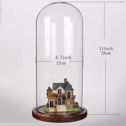 PTAHAN Glass Cloche Dome with Coffee Wood Base - 4.7" x 11" Display Case for Terrariums, Collectibles & Home Decor, Glass Dome Cloche with Natural Wood Base, Bell Jar Display Cover