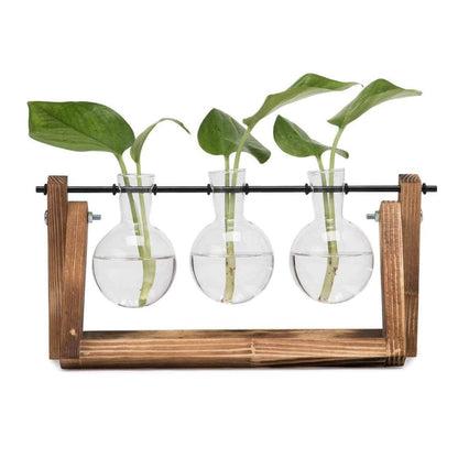 Water Planting Glass Vase Desktop Glass Planter Bulb Vase Hanging with Retro Solid Wooden Stand for Hydroponics Plants Home Office Decor (Three)