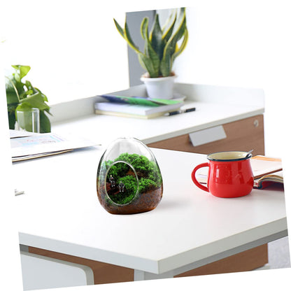 POPETPOP Glass Plant Propagation Station for Home Office Terrarium Supplies Eco Bottle