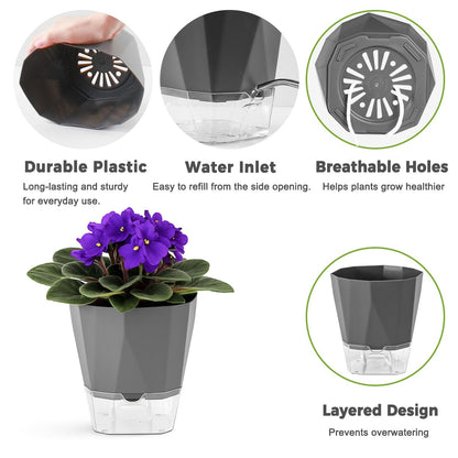 6 Pack Self Watering Pots for Indoor Plants, 5 Inches Self Watering Planters African Violet Self Watering Clear Pots for Plants Herb Orchid Flower Houseplant, Dark Grey