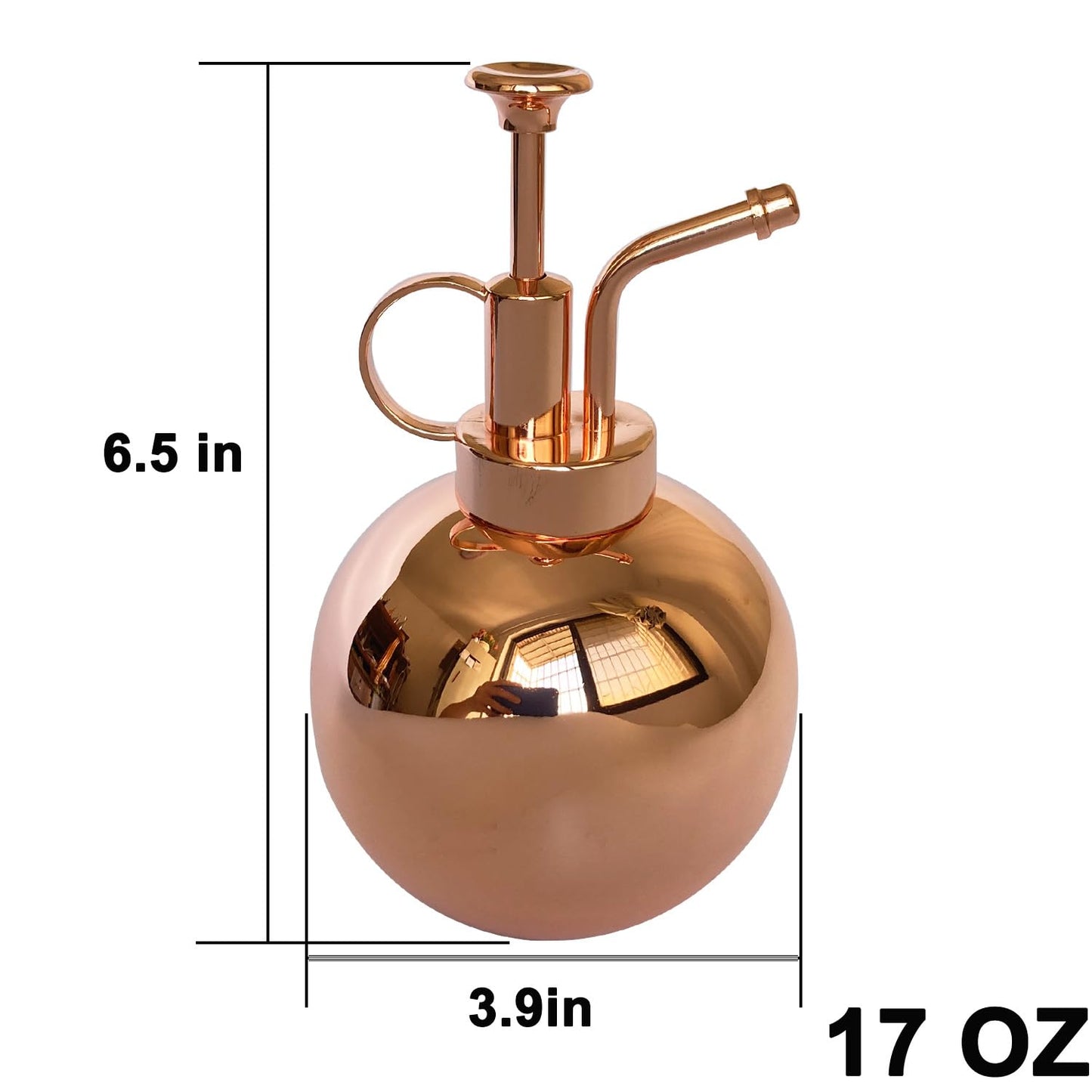 Lianshi Stainless Steel Plant Sprayer, Small Watering Can Plant Misting Bottle, Modern Gardening Tools for Indoor Potted Plants Watering and Misting