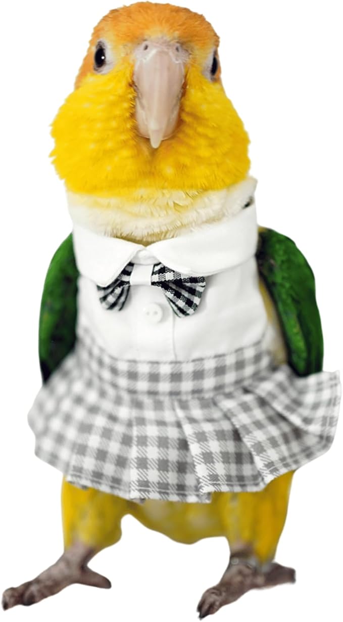 Bird Costume Bird Diaper Flight Suit Cute JK Dress Dress Skirt Clothes Cosplay Photo Prop for Parrots Macaw Cockatoo (Without Diaper,Macaw)