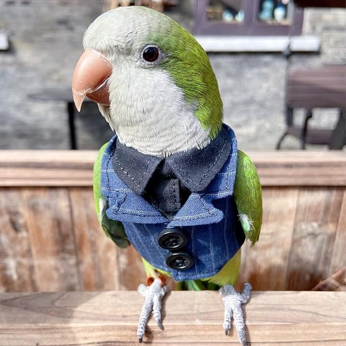 Bird Clothes Birds Flight Suit,Tuxedo Business Suit for Parrots African Greys Parakeet Cockatiel Sun Conure Christmas Party Birthday Cosplay Photo Prop Small Animals Apparel (2XL,Denim Suit)