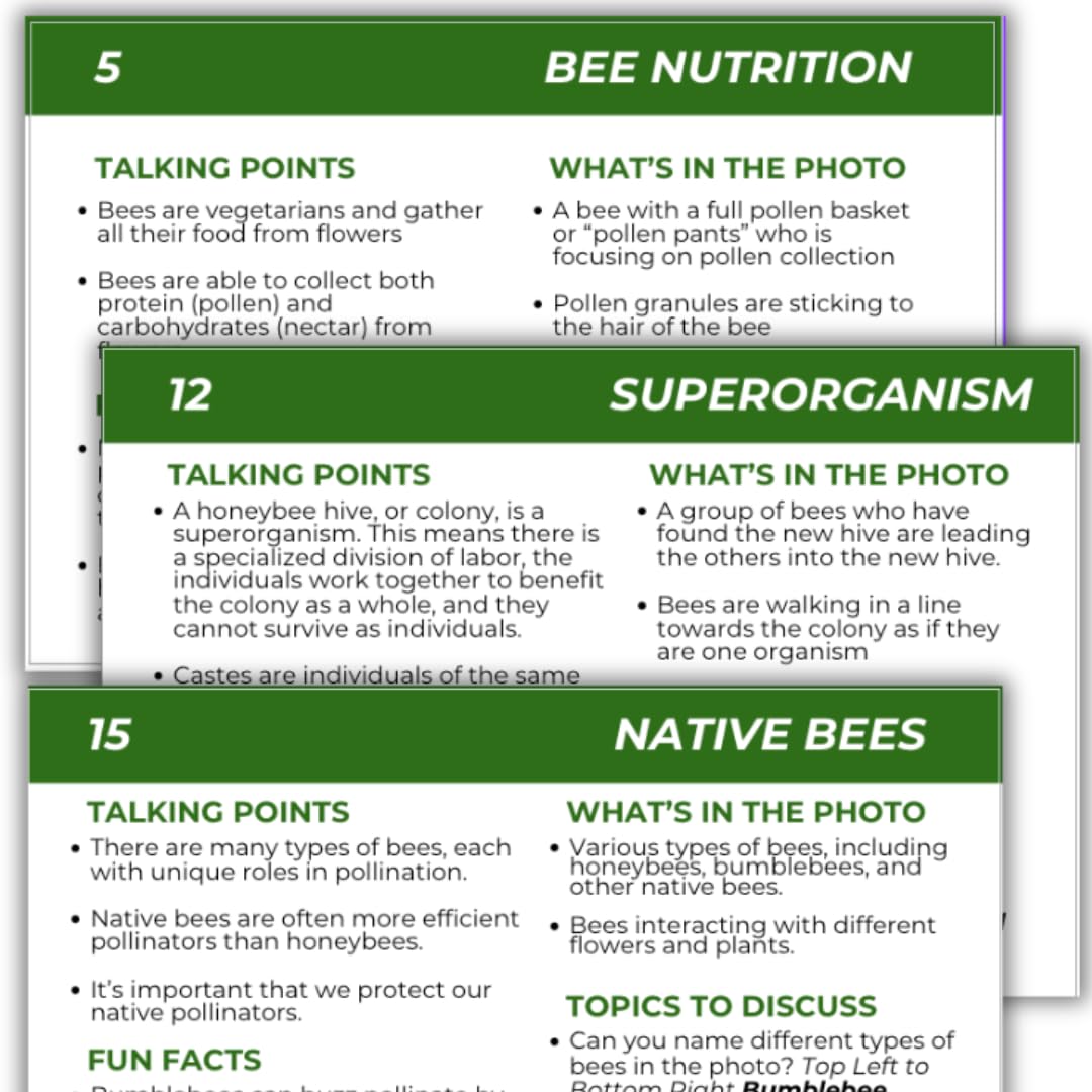 Educational Beekeeping Cards – 12x18 Oversized Beekeeping Flashcards for Teaching Bees and Beekeeping - Classroom and Workshop Learning Tool (Expansion Set - Laminated)