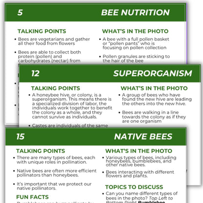 Educational Beekeeping Cards – 12x18 Oversized Beekeeping Flashcards for Teaching Bees and Beekeeping - Classroom and Workshop Learning Tool (Expansion Set - Laminated)
