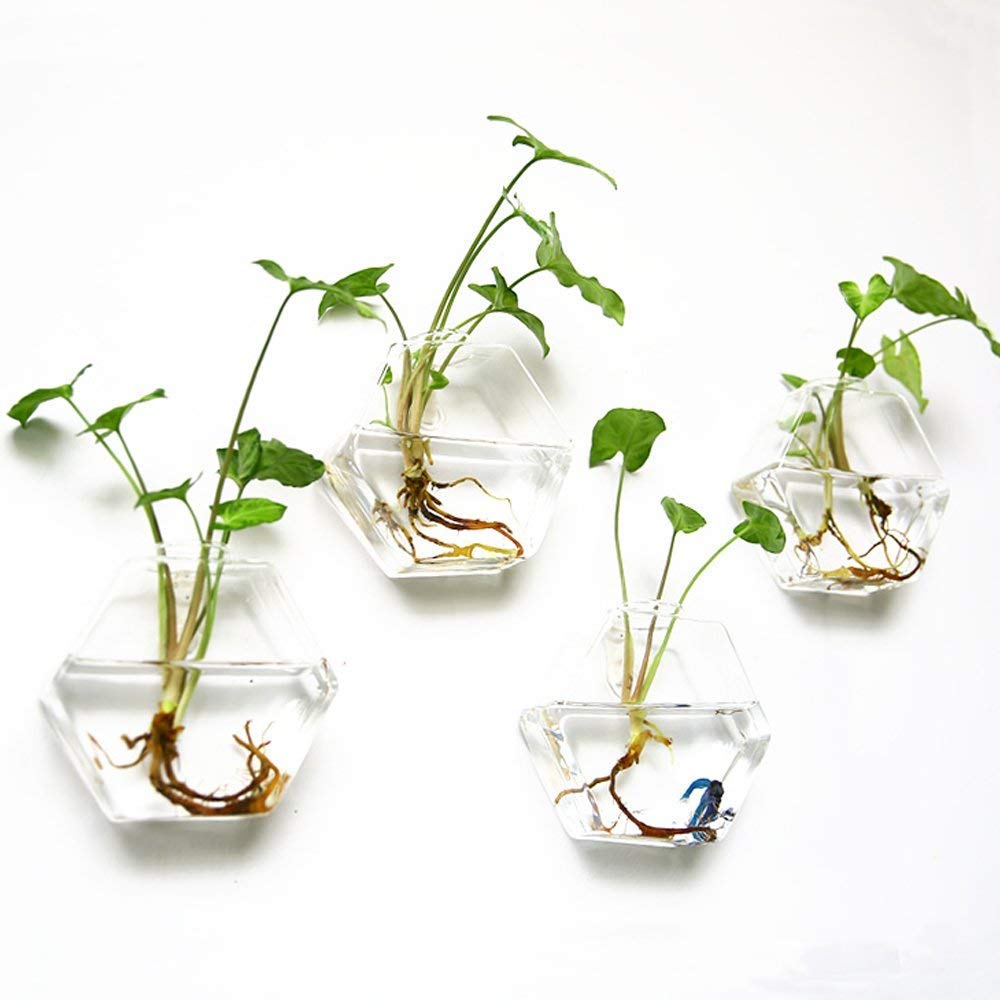 Kingbuy Hexagon Wall Planter Set - 3 Pack Glass Propagation Terrarium Vases with Hanging Mounts for Indoor Plants, Air Plants & Hydroponic Stations Home Office Decor, Plant Lover Gifts (Medium)