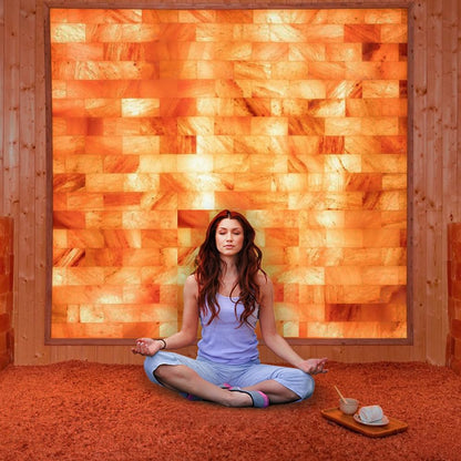 4 Himalayan Salt Bricks 8"x4"x2" For Build Spa Sauna | Himalayan Pink Salt Block For Home Decor & Salt Wall | Block 5.5Lbs Home Improvement