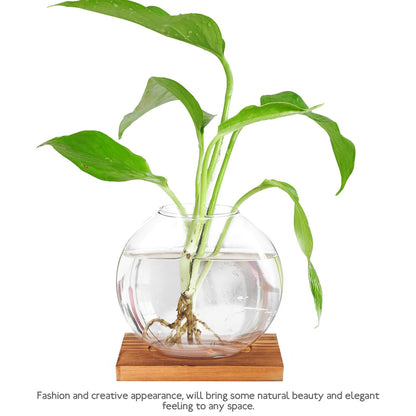 DOITOOL Wood Base Glass Hydroponic Vase for Plant Propagation, Desktop Planter Bottle with Retro-Style Base, Home and Office Flower Terrarium Decoration