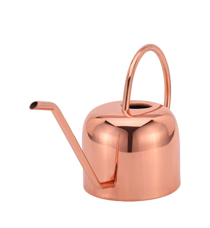 Glytterati - Indoor Watering Can and Planter with Plate.