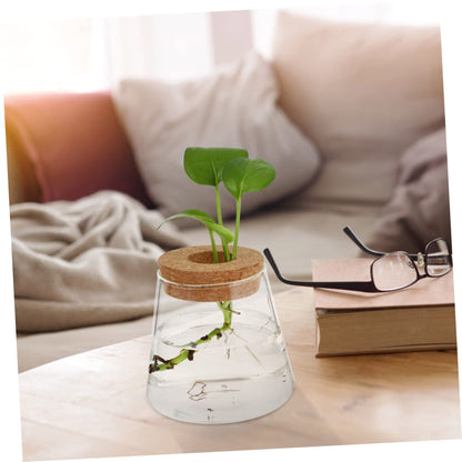 Ciieeo 2Pcs Glass Desktop Planter Vase for Hydroponics Chic Terrarium for Indoor Plants Home Office Decoration for Floral Arrangements and Plant Propagation