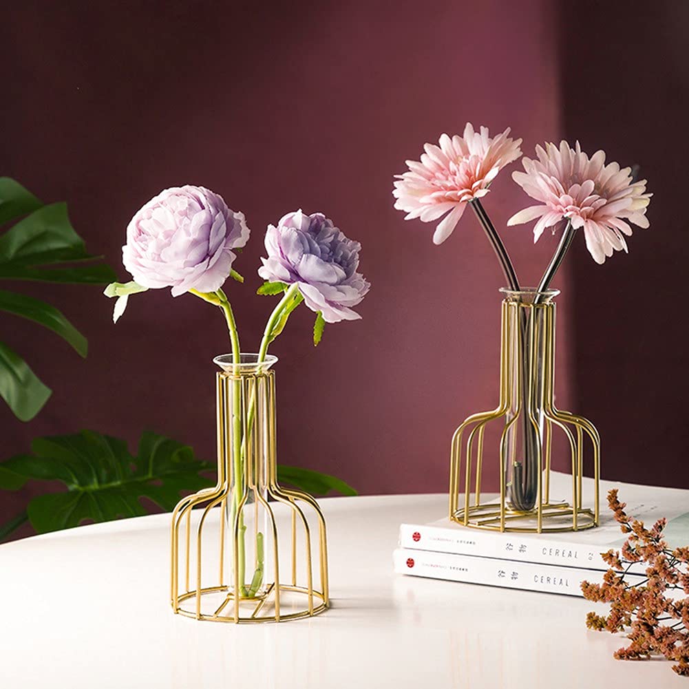 Ivymei 2 Pack Table Flower Vase,Gold Geometric Metal Frame Clear Glass Tube Bud Vase Hydroponic Plants,Gold Vase Decorative for Flower,Weddings,Centerpiece,Party,Home(Gold 8)