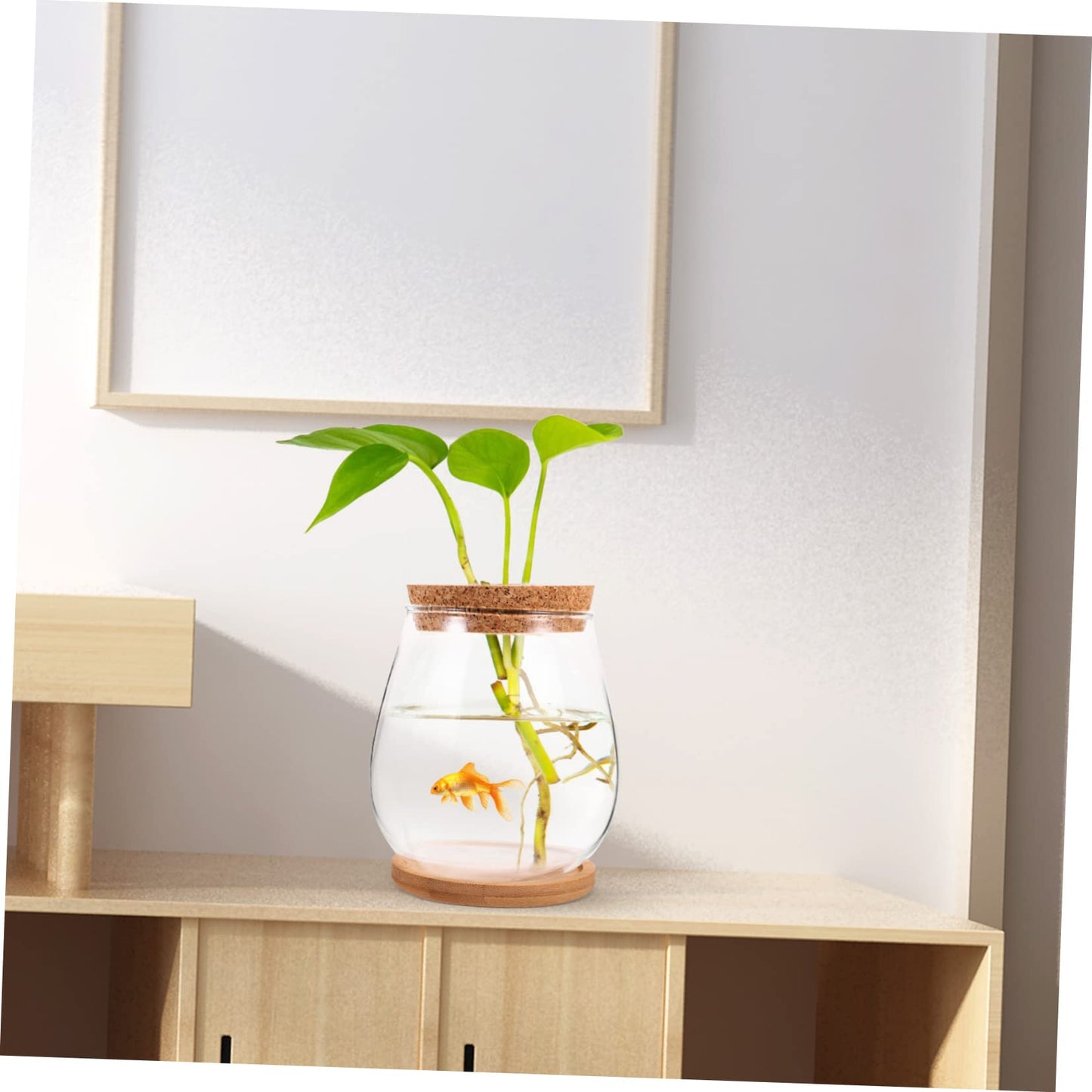 GANAZONO 1set Delicate Glass Terrarium Planter Bamboo Tray Hydroponic Landscape Bottle for Indoor Plants Compact Micro Ecosystem Decor for Home and Office
