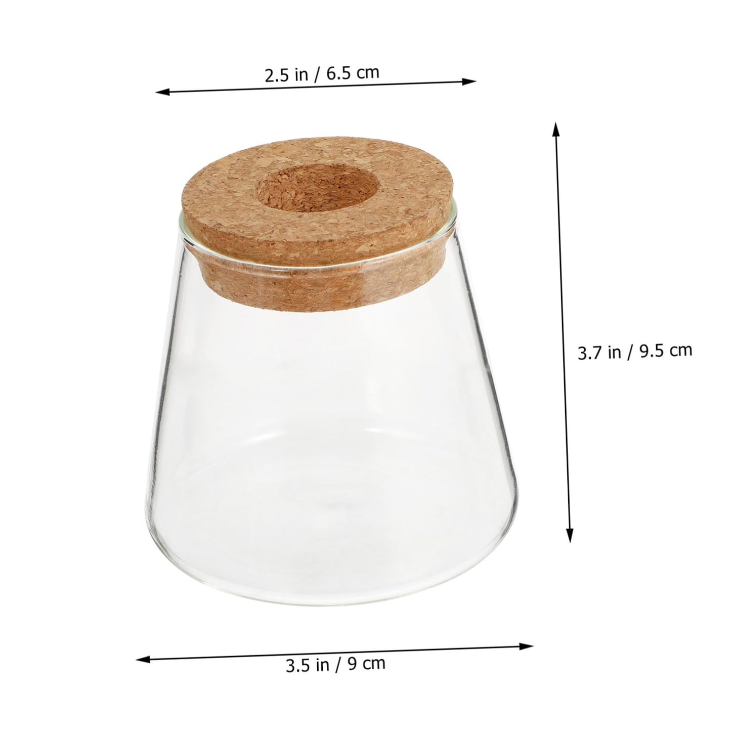 VALICLUD 2Pcs Glass Hydroponic Planter Vases Elegant Desktop Terrarium for Home Decoration Floral Arrangements for Indoor Plants and